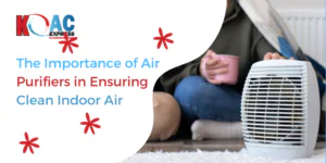 importance of air purifiers