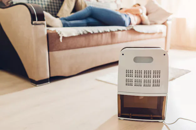 Humidifiers vs. Dehumidifiers: Essential Guide for Your Home This Winter